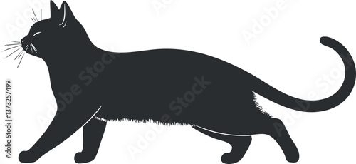 Silhouette of a black cat walking gracefully, showcasing its elegant and sleek profile.