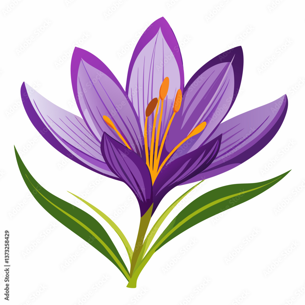 Violet flower isolated of a white background Violet flower isolated of a white background