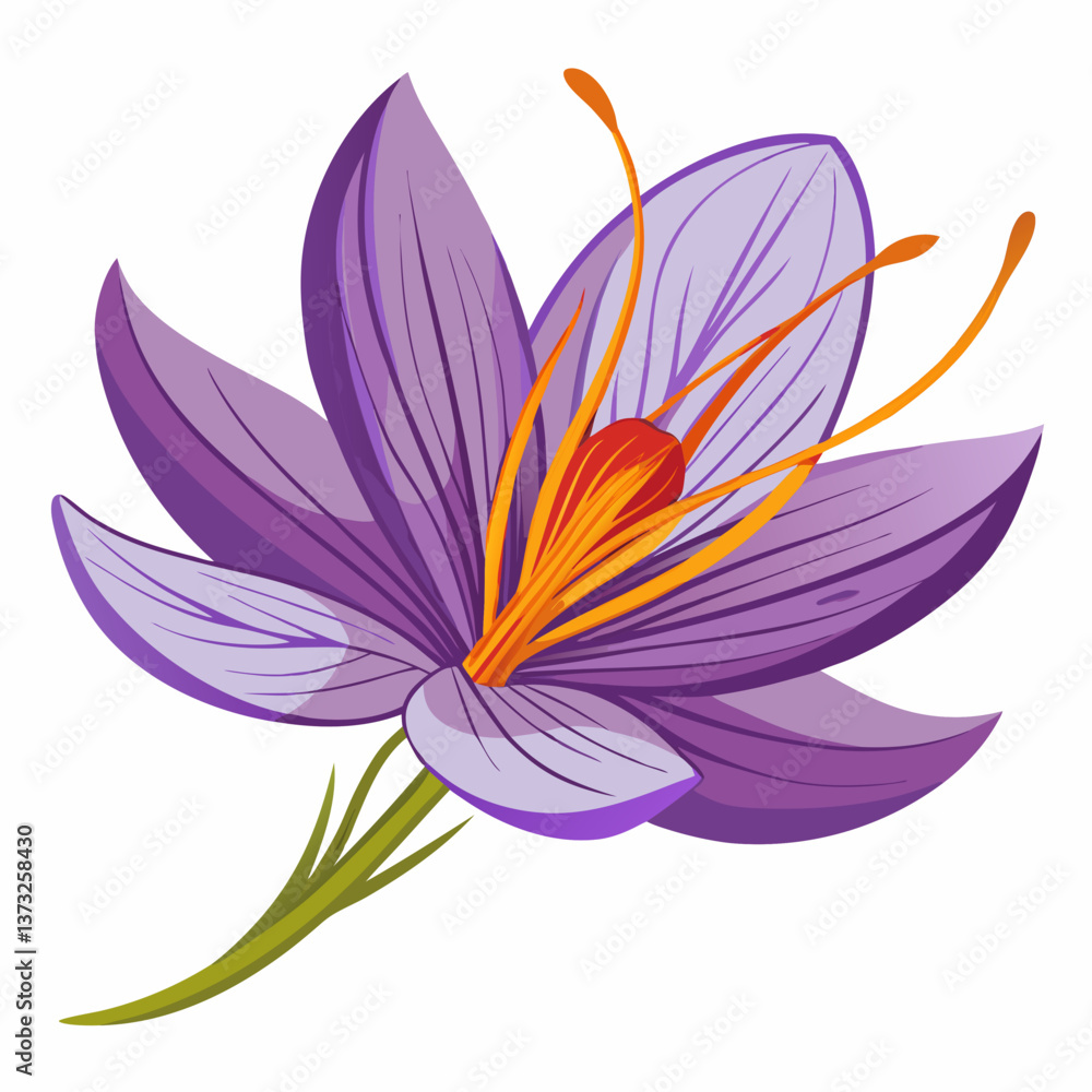 Violet flower isolated of a white background Violet flower isolated of a white background