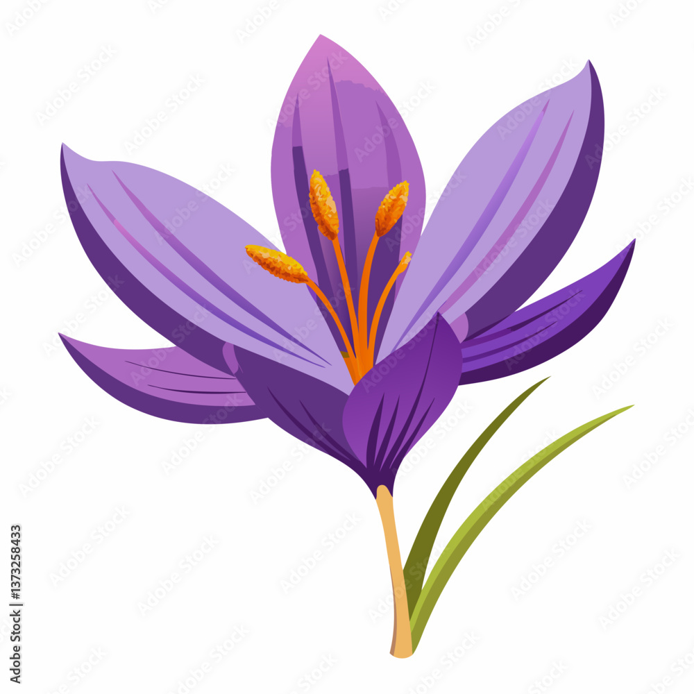 Violet flower isolated of a white background Violet flower isolated of a white background