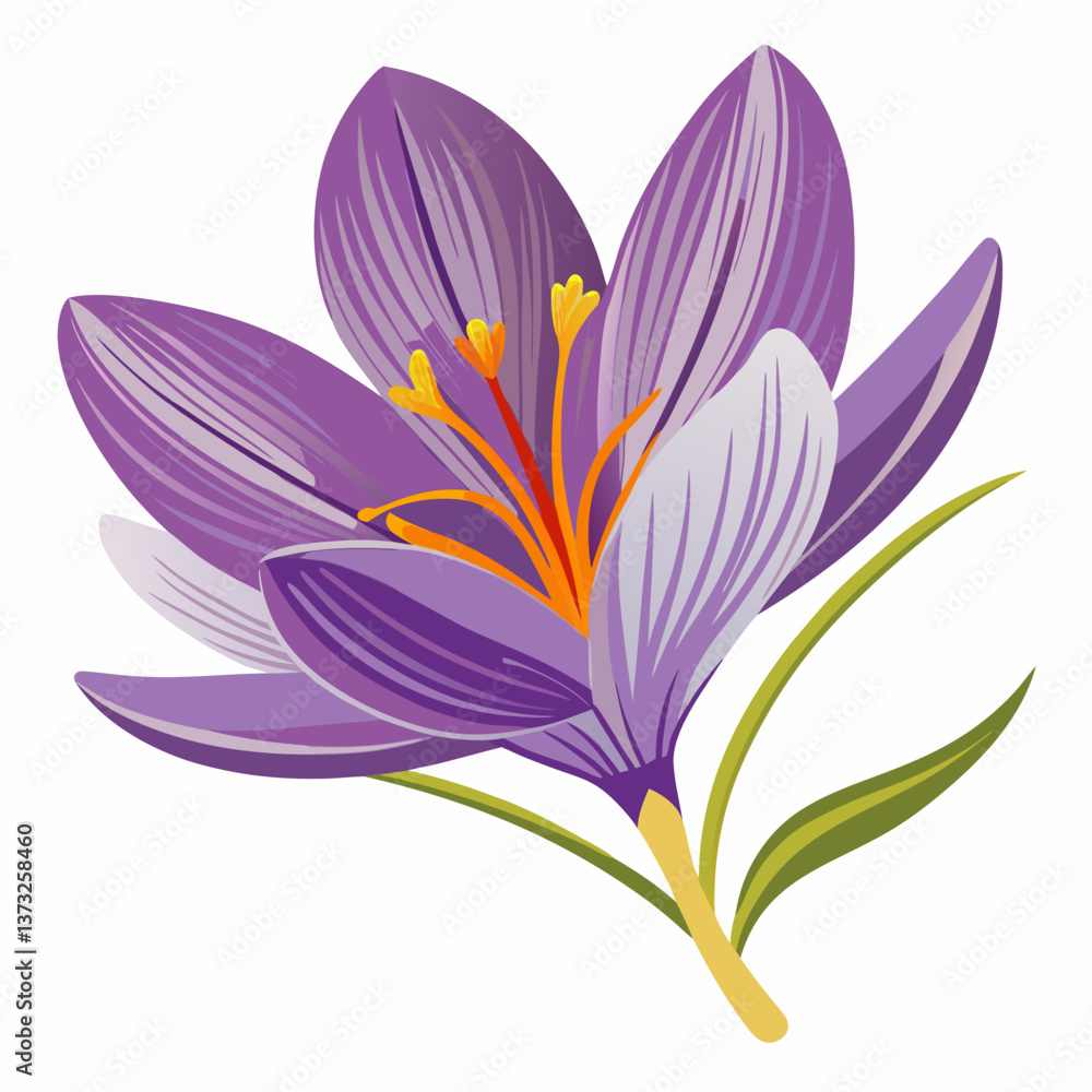Naklejka premium Violet flower isolated of a white background 