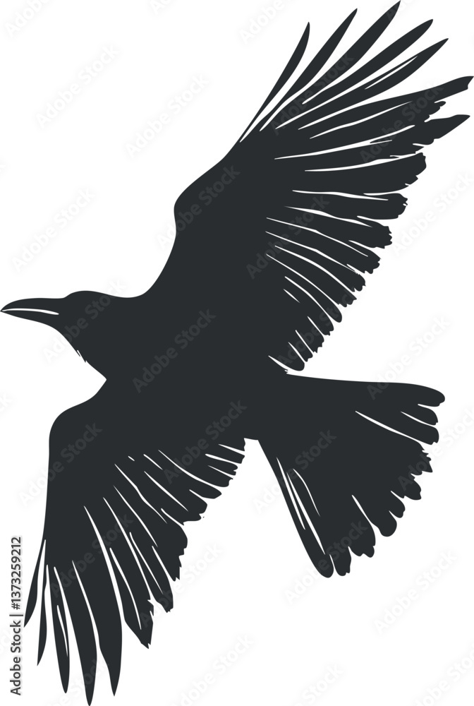 Fototapeta premium Silhouette of a raven in flight with outstretched wings against a white background.