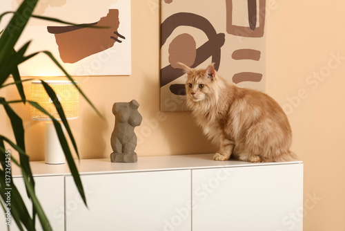 Maine Coon cat on commode a...