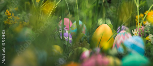 Colorful Easter eggs painted in vibrant colors hiding deep in a meadow of springtime flowers. Blooming wildflowers surrounding decorated Easter eggs hidden for Easter egg hunt tradition.