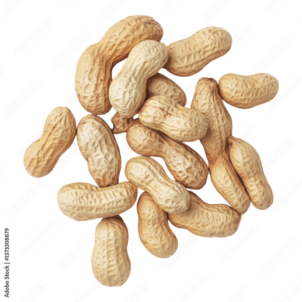 Raw Peanuts for Food Styling Raw Peanuts for Food Styling
