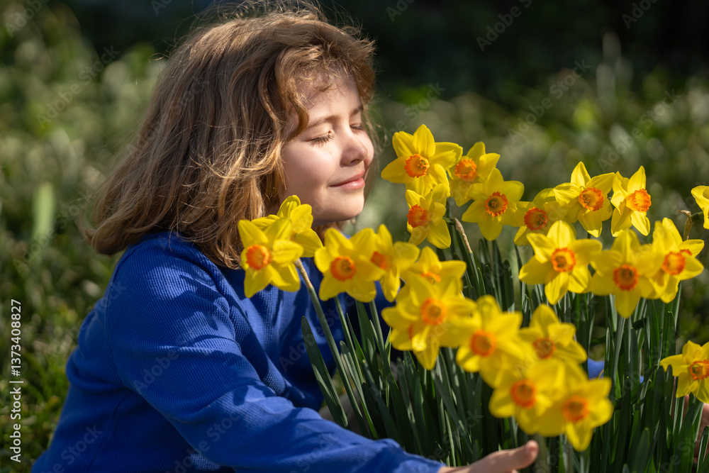 Naklejka premium Little kid smelling spring narcissus flower outdoor. Kids face near spring blossom narcissus nature background. Spring fun. Kid outdoors in a beautiful spring garden.
