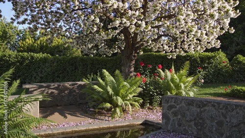 Serene blossom tree with fluttering petals and vibrant garden in tranquil spring setting