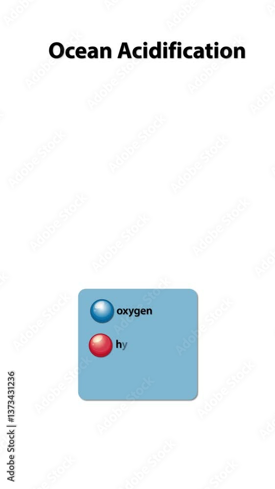 Chemical Reactions in Ocean Acidification Process Chemical Reactions in Ocean Acidification Process