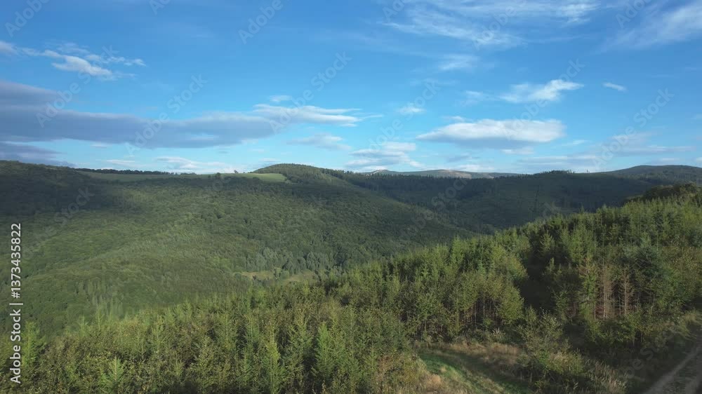 Sunny view of a winding trail leading through lush green hills and forests in Beskid Slaski, southern Poland Sunny view of a winding trail leading through lush green hills and forests in Beskid Slaski, southern Poland