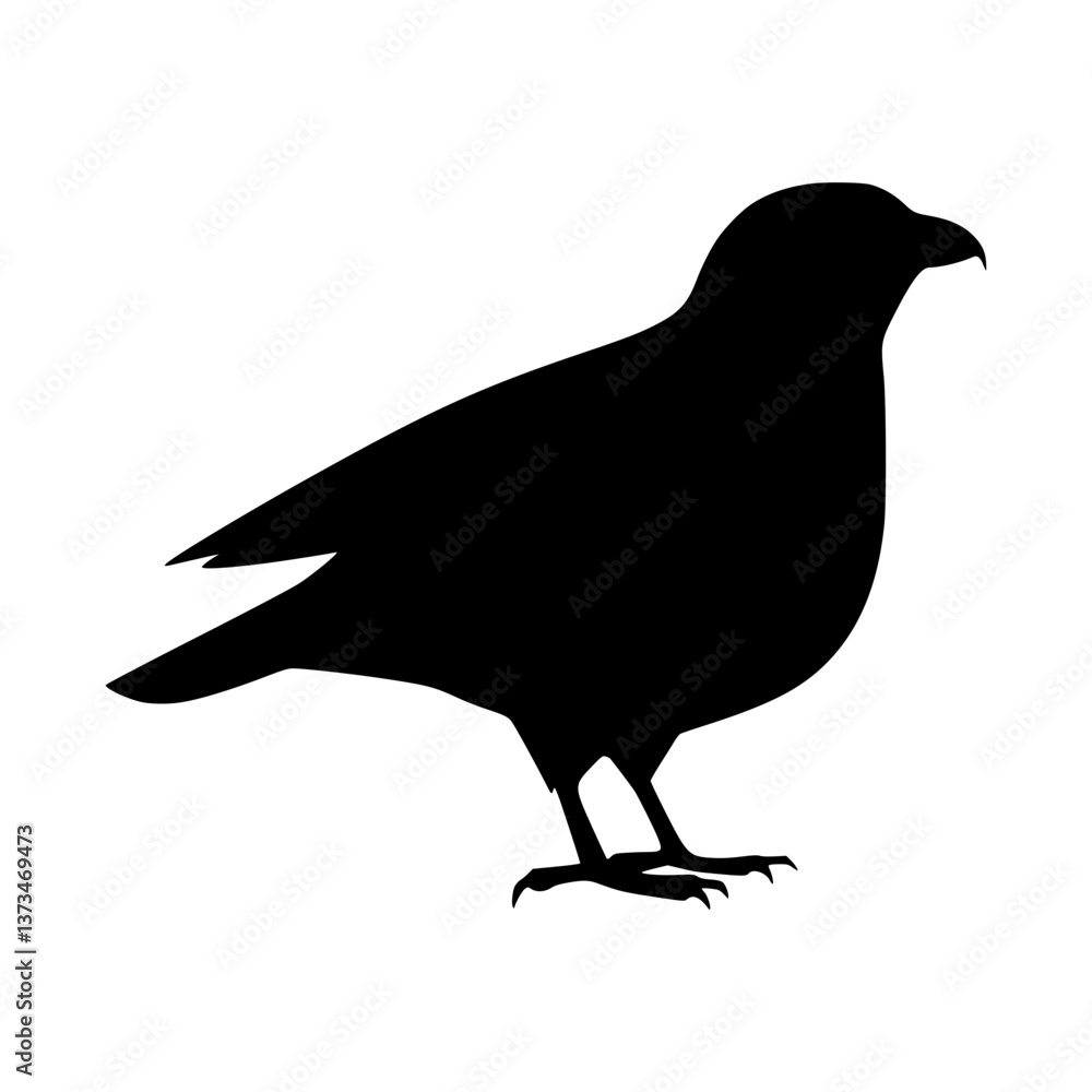 Obraz premium Silhouette Raven Bird Graphic Vector