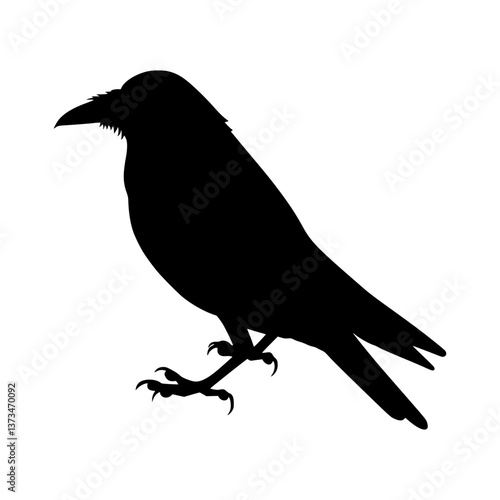 Raven Silhouette Vector Illustration
