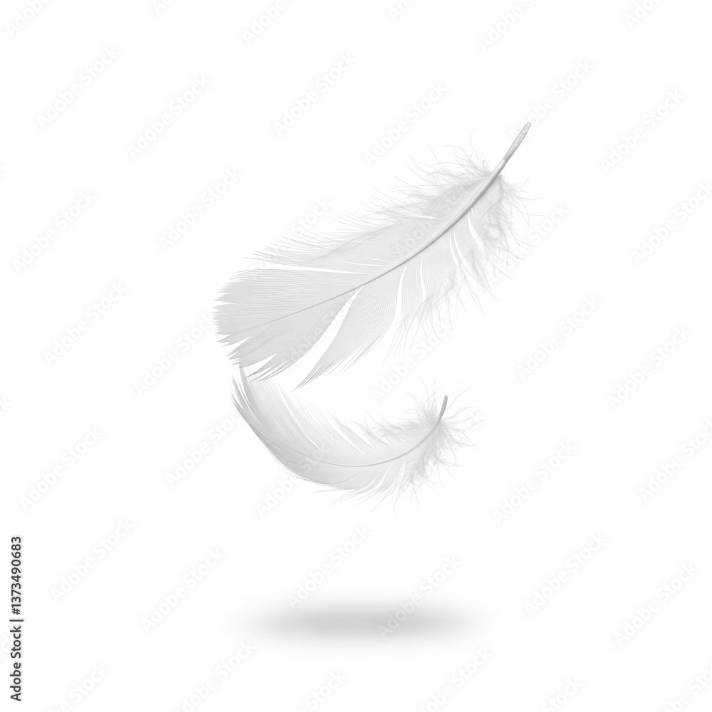 Obraz premium white feather falling down soft gentle graceful light background