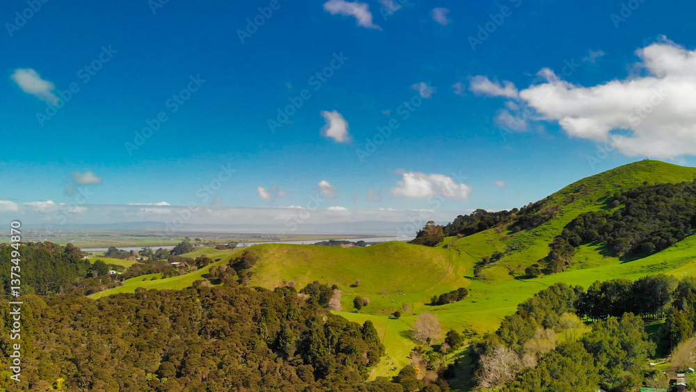 Bird’s-eye perspective of dense forest in New Zealand surrounded by natural beauty