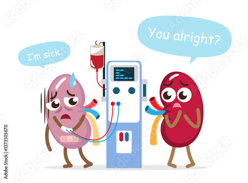 Chronic kidney disease, normal kidney and hemodialysis machine . Cute medical cartoon character . Isolated white background . Vector .