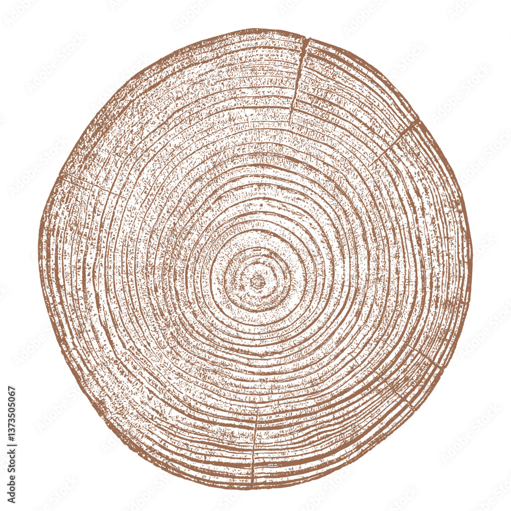 Tree wood texture. Wooden old trunk. Cut timber log. Abstract rings nature pattern. Brown circle stump. Wood cross section.