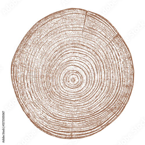 Obraz na płótnie Tree wood texture. Wooden old trunk. Cut timber log. Abstract rings nature pattern. Brown circle stump. Wood cross section. w salonie
