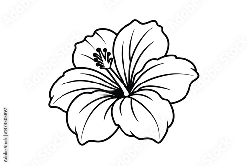 Elegant Black Outline Hibiscus Flower Botanical Illustration Design