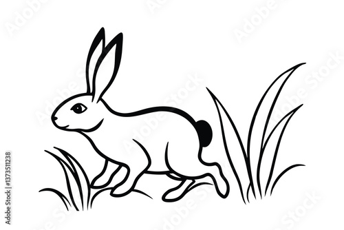 Black and White Rabbit Illustration, Meadow Grass, Nature