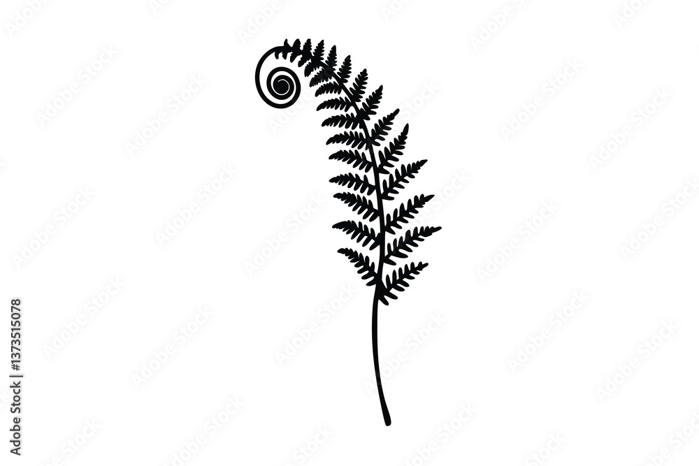 Obraz premium Black Fern Silhouette Botanical Illustration, Nature Design, Floral Graphic