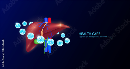 Liver anatomy with medical icon sign symbol inside glowing ball surrounded. Human organ on dark blue background. Medical science health care concept. Banner Vector.