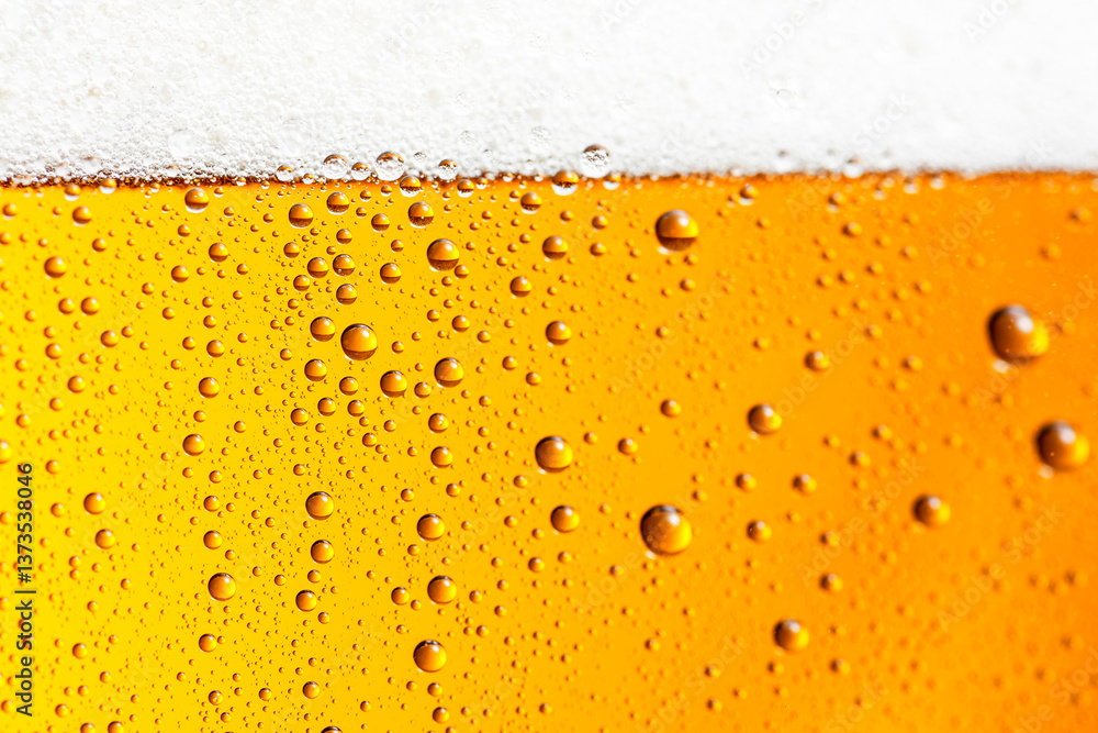 生ビールのイメージ 生ビールのイメージ