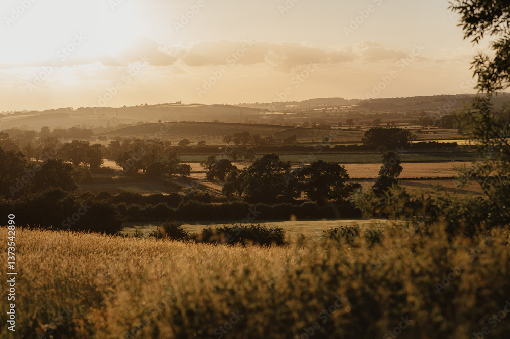 Fototapeta premium View to the valley from the hill. Sunset.