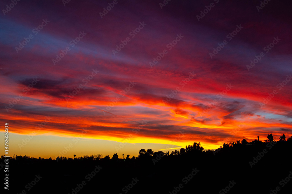 Fiery sunset clouds stretch across the sky above silhouetted treetops Fiery sunset clouds stretch across the sky above silhouetted treetops