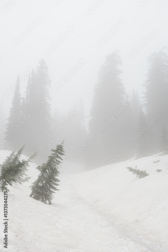 Naklejka premium Snowy Mountain Landscape with Evergreen Trees