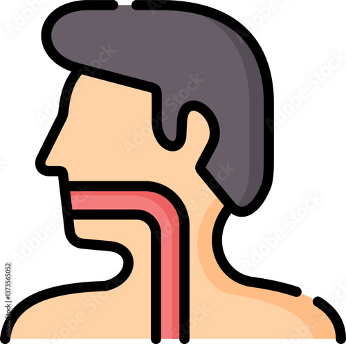 esophagus Illustration on a white background.