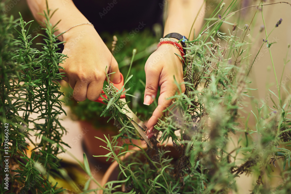 Woman taking care of plants at home terrace.