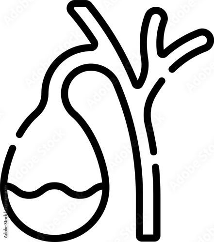 gallbladder Illustration on a white background.