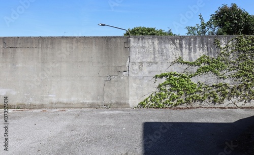 Wallpaper Mural Grunge concrete wall half covered with ivy. at the roadside. Sky and streetlight on behind, road in front. Background for copy space Torontodigital.ca