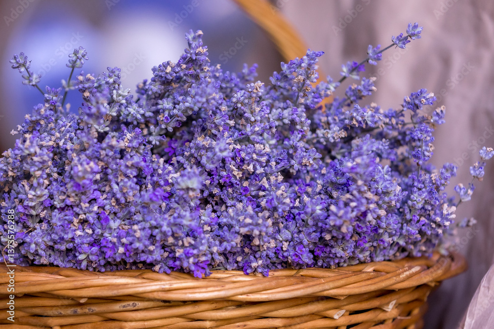 Fototapeta premium Basket with lavender flowers. Aromatherapy