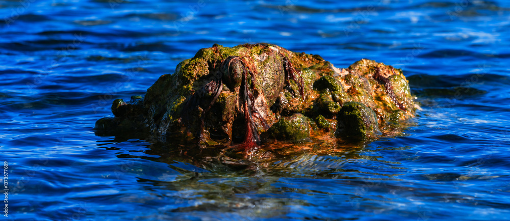 Felsen im Wasser