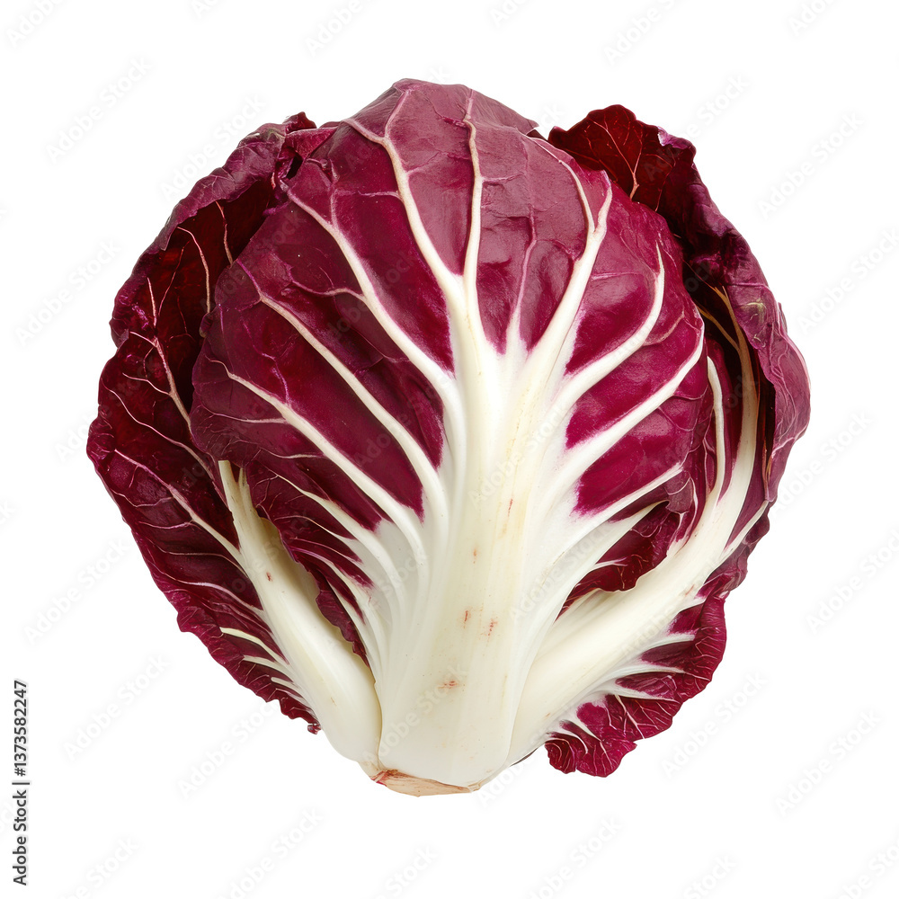 Obraz premium Close-up of fresh organic radicchio with sharp detail and high contrast