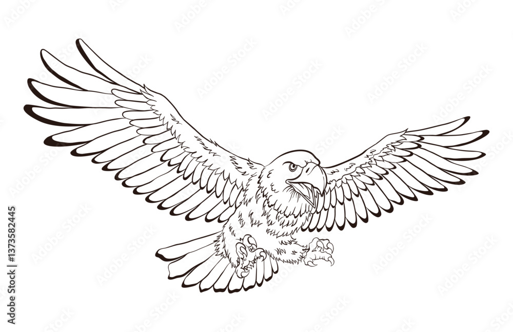 American eagle, national symbol in coloring style. American proud eagle on white background. Vector design illustration
