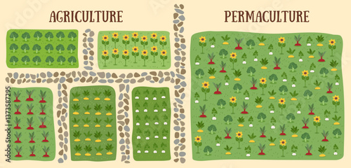 Gardening and farming concept banner. Nature background of beds of vegetables. Сomparison of agriculture and permaculture. Regenerative farming concept. Vector flat background.