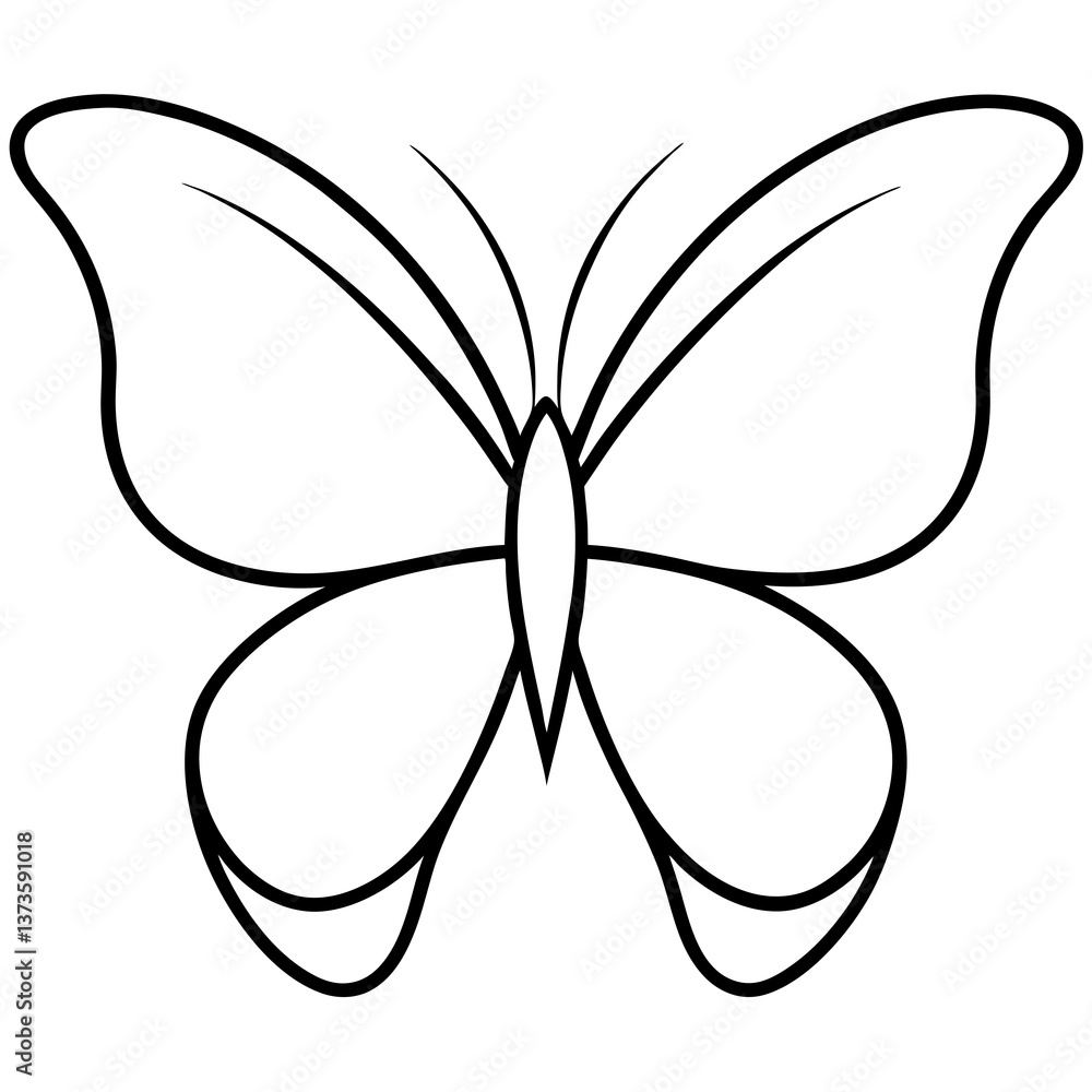 butterfly vector illustration butterfly vector illustration