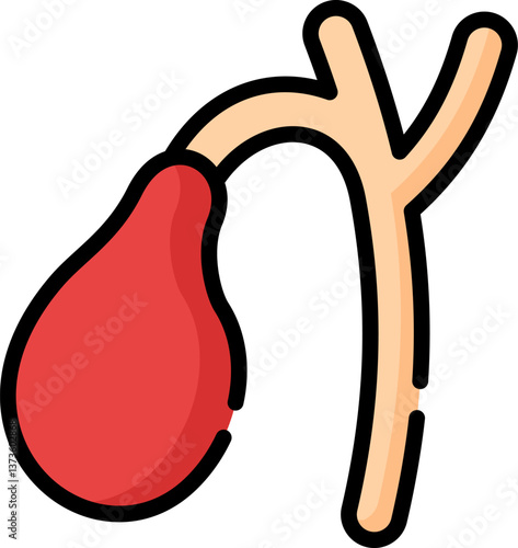 gallbladder Illustration on a white background