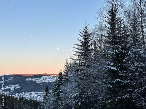 Winterlandscape