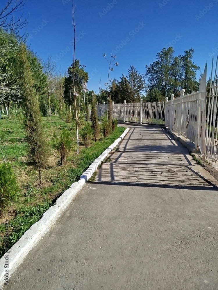 Fototapeta premium A Concrete Path Through Urban Greenery