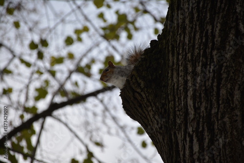 A trip to New York City is an unforgettable experience