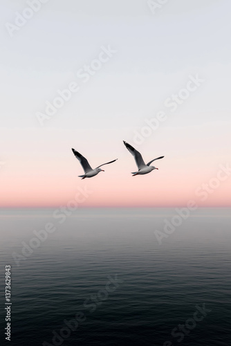 Two seagulls flying over calm ocean at pastel sunrise with minimalistic sky