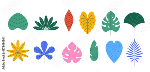Summer tropic leaves design collection. Geometric simple, flat, modern style. Summer illustrations
