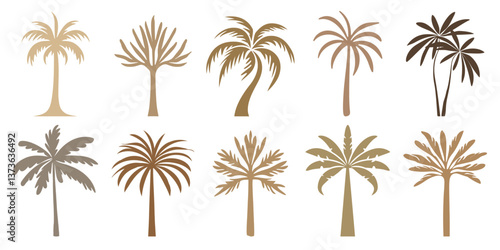Tropical palm leaf silhouettes collection, isolated vector set