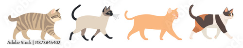 Colorful illustrated cats walking, isolated vector set