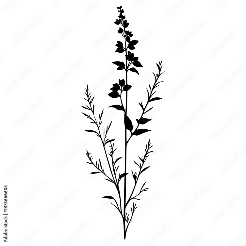 Wild flower Cardinal Flower illustration silhouette minimalist vector Wild flower Cardinal Flower illustration silhouette minimalist vector