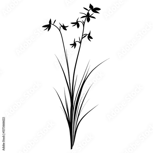 Wild flower Cranefly Orchid illustration minimalist simple vector