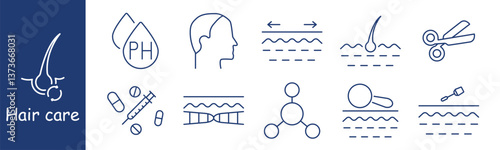 Hair care set icon. PH, scalp, head, arrows, follicle, scissors, pills, molecules, magnifier, brush, showing analysis, pH balance, medicine, styling, examination