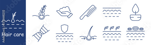 Hair care set icon. Follicle, curl, foam, comb, hydration, oil, DNA, protection, volume, hair density, showcasing nourishment, softness, moisture, scalp treatment